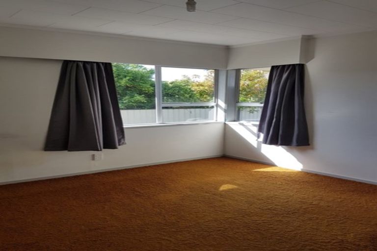 Photo of property in 14 Storey Avenue, Forest Lake, Hamilton, 3200