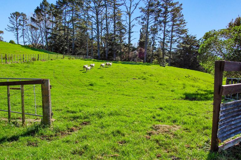 Photo of property in 82 Settlement Road, Kaiwaka, 0573