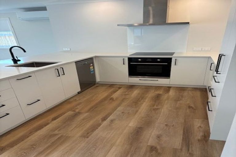 Photo of property in 115a Limbrick Street, Terrace End, Palmerston North, 4410