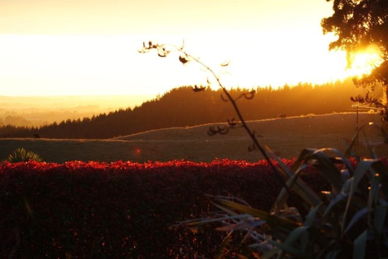 Photo of property in 745 No 4 Road, Te Puke, 3183