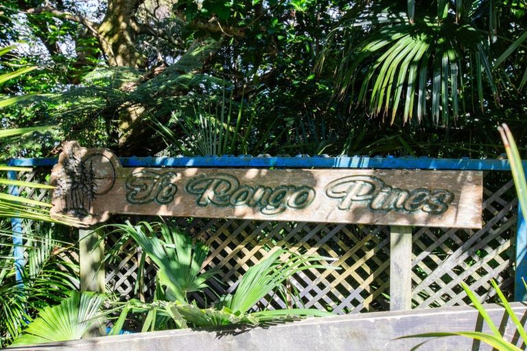 Photo of property in 237 Te Rongo Road, Parua Bay, Whangarei, 0174