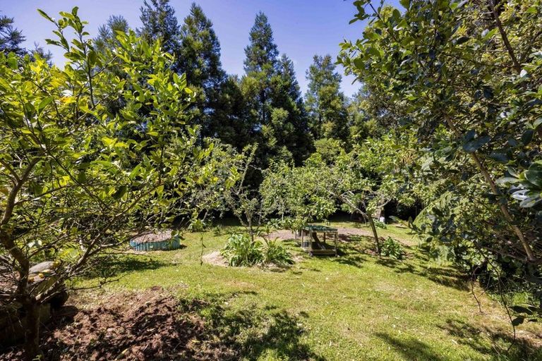 Photo of property in 166 Hurford Road, Hurford, New Plymouth, 4374