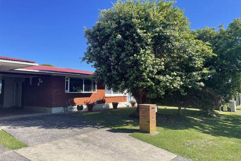 Photo of property in 22 Woods Avenue, Matua, Tauranga, 3110