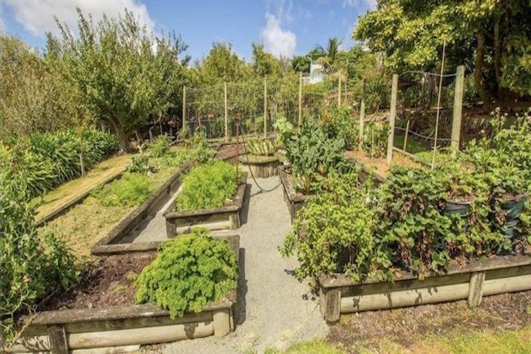 Photo of property in 12 Puawai Street, Kaiwaka, 0573