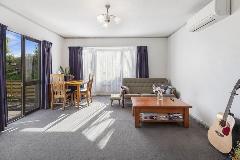 Photo of property in 3/115 Owen Street, Newtown, Wellington, 6021