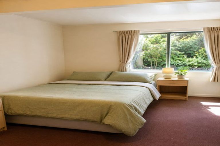 Photo of property in 63 Opoho Road, North East Valley, Dunedin, 9010