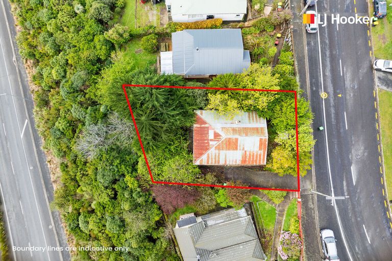 Photo of property in 486 South Road, Calton Hill, Dunedin, 9012