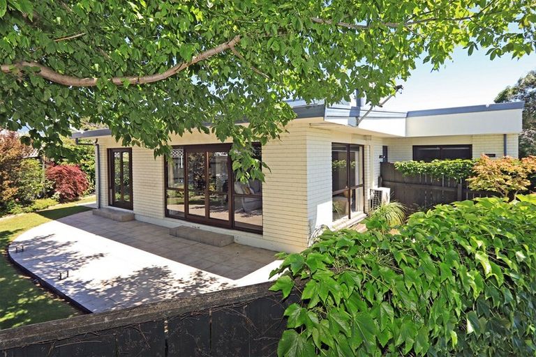 Photo of property in 16a Mchardy Street, Havelock North, 4130