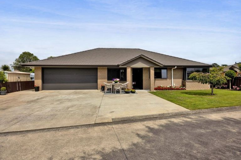 Photo of property in 21 Elizabeth Grove, Stratford, 4332