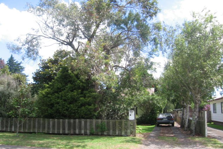 Photo of property in 47 Aranui Road, Mount Wellington, Auckland, 1060
