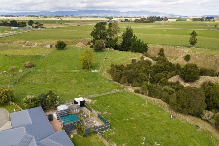 Photo of property in 285 Forlong Road, Colyton, Feilding, 4775