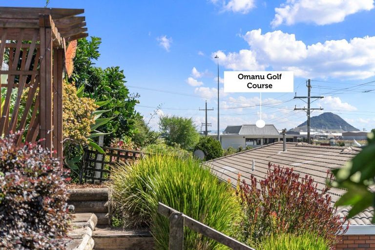 Photo of property in 4 Palm Court, Mount Maunganui, 3116