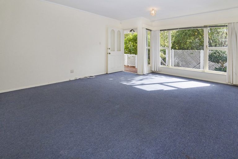 Photo of property in 1/46 The Drive, Epsom, Auckland, 1023