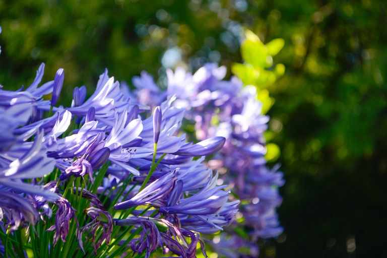 Photo of property in 32 Roberts Road, Lansdowne, Masterton, 5810