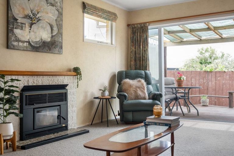 Photo of property in 31 Mckenzie Street, Witherlea, Blenheim, 7201