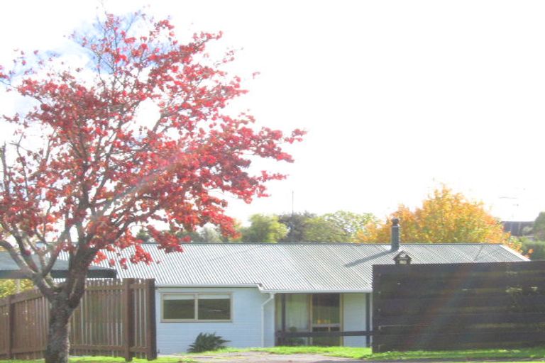 Photo of property in 20 Tawa Place, Tokoroa, 3420