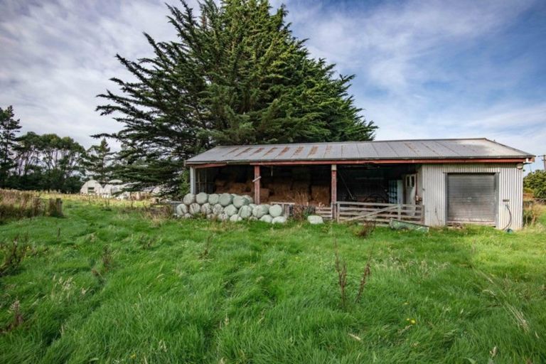 Photo of property in 110 Taieri Mouth Road, Kuri Bush, Brighton, 9091