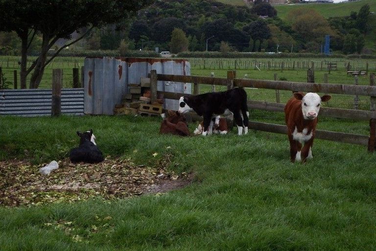 Photo of property in 57 Wikitoria Road, Putiki, Whanganui, 4501