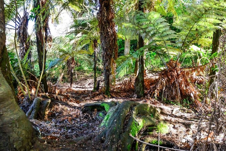 Photo of property in 34 Tudor Crescent, Chedworth, Hamilton, 3210