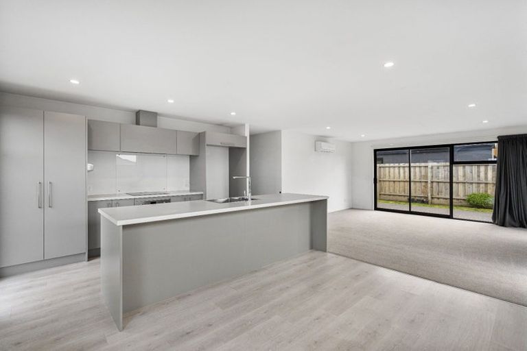 Photo of property in 17 Sedge Street, Belfast, Christchurch, 8051