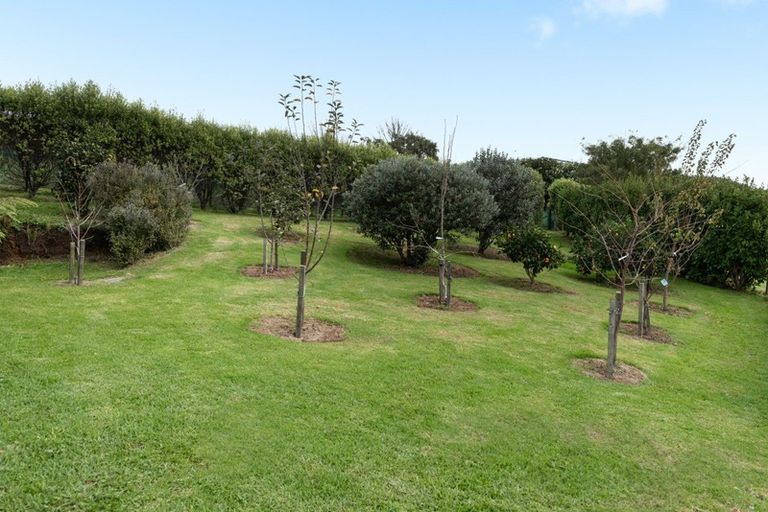 Photo of property in 314 Ross Road, Whakamarama, Tauranga, 3179