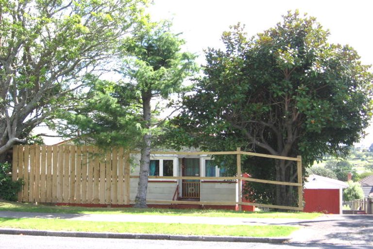 Photo of property in 17 Staveley Avenue, Mount Roskill, Auckland, 1041