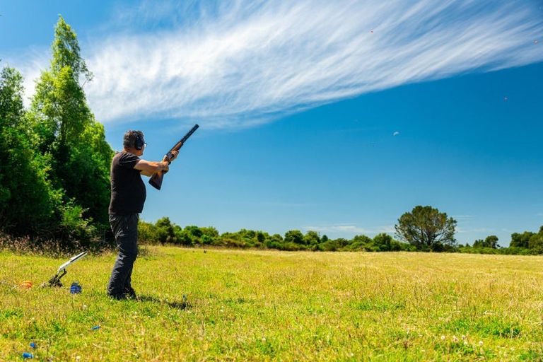 Photo of property in 459 Flora East, Makarewa, Invercargill, 9876