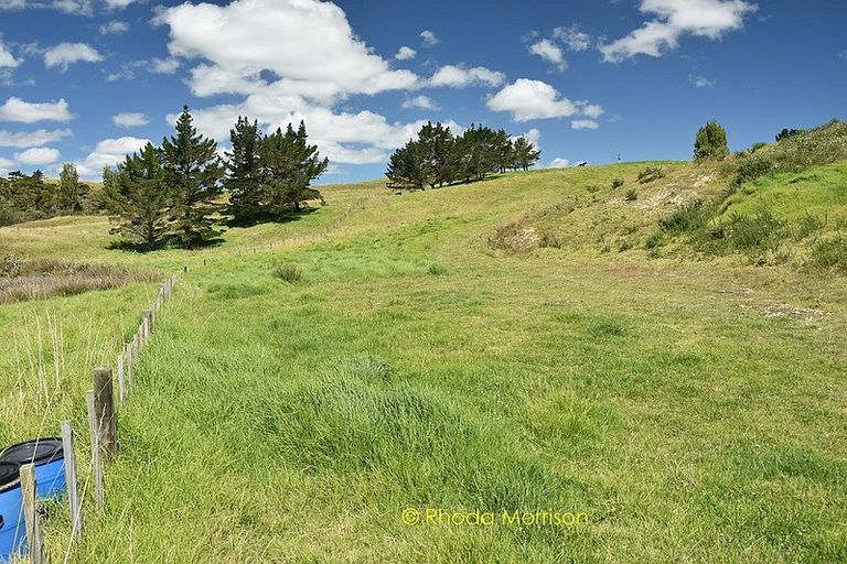 Photo of property in 1 Matahehe Lane, Tinopai, 0593