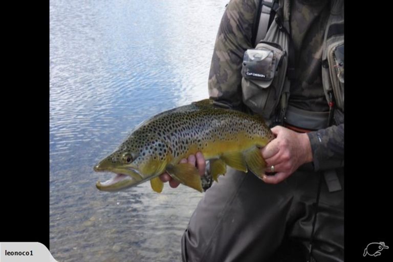 Photo of property in Temple Drive, Twizel, 7901