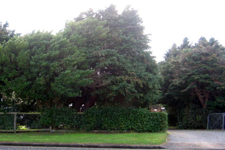 Photo of property in 33 Brandon Street, Featherston, 5710