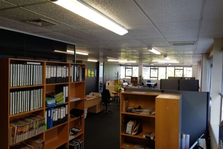 Photo of property in 20 Raroa Road, Kelburn, Wellington, 6012