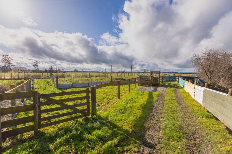 Photo of property in 262 Burnside Road, Ashley Clinton, Takapau, 4288