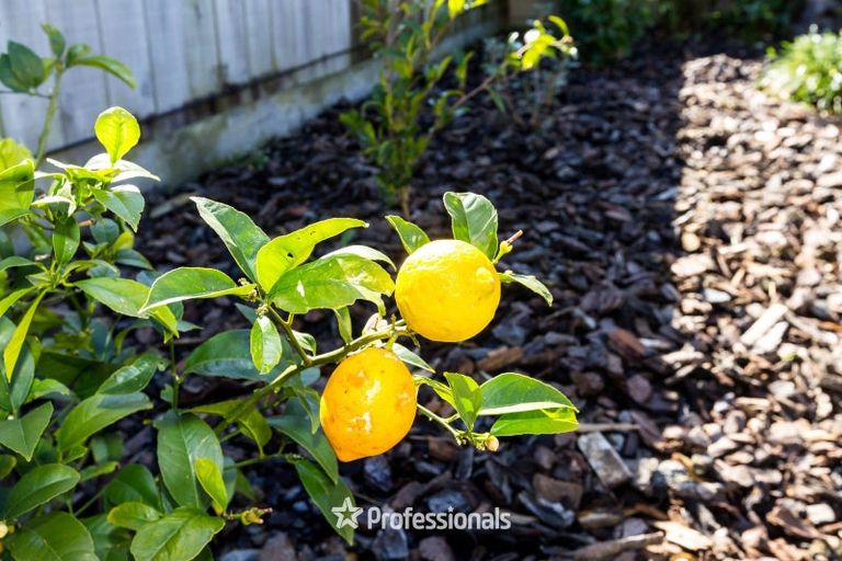 Photo of property in 19 Brentwood Street, Trentham, Upper Hutt, 5018