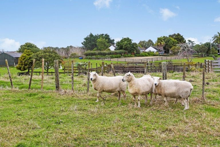 Photo of property in 323 Waiau Pa Road, Waiau Pa, Pukekohe, 2679