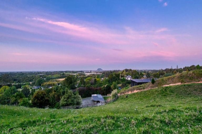 Photo of property in 39 Corbett Drive, Minden, Tauranga, 3176
