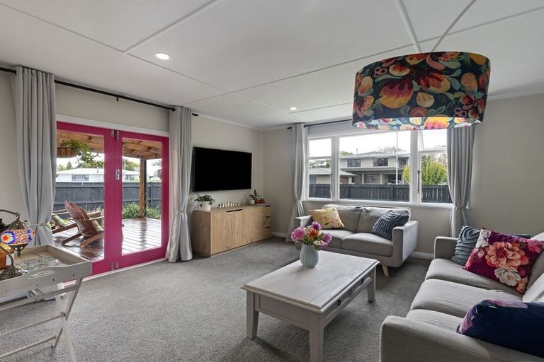 Photo of property in 17 Salisbury Avenue, Terrace End, Palmerston North, 4410