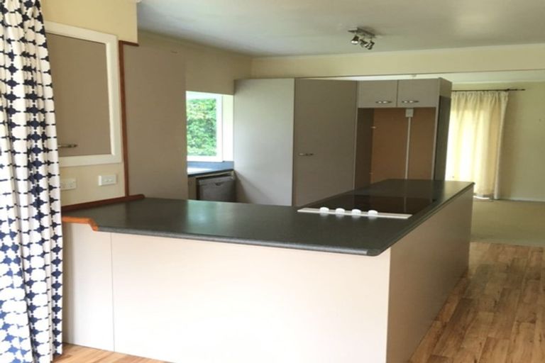 Photo of property in 13 Tampin Road, Hillpark, Auckland, 2102