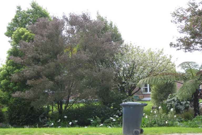 Photo of property in 4 Old Renwick Road, Mayfield, Blenheim, 7201