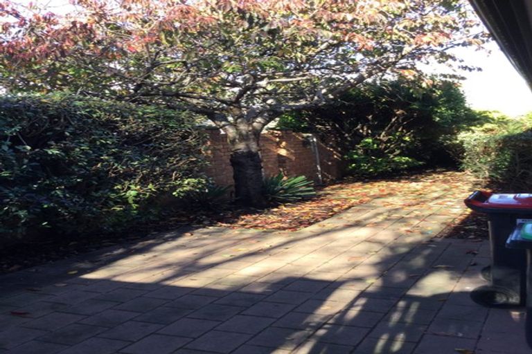 Photo of property in 1/89 Grafton Street, Waltham, Christchurch, 8011