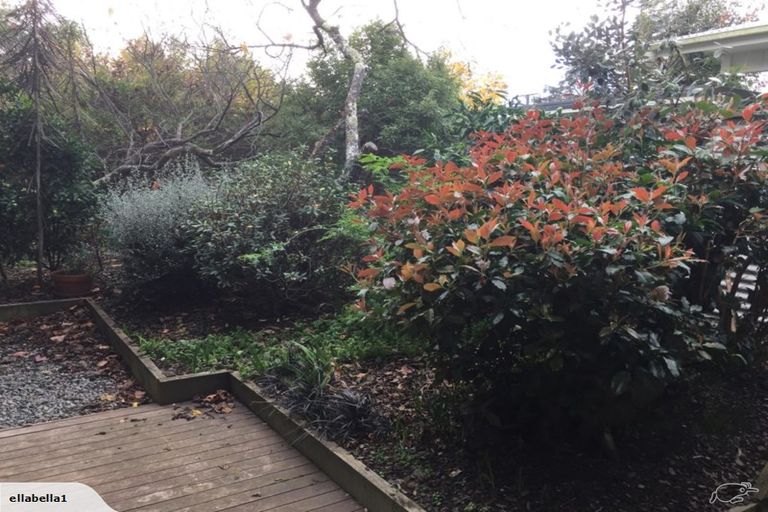 Photo of property in 16 Roberts Street, Martinborough, 5711