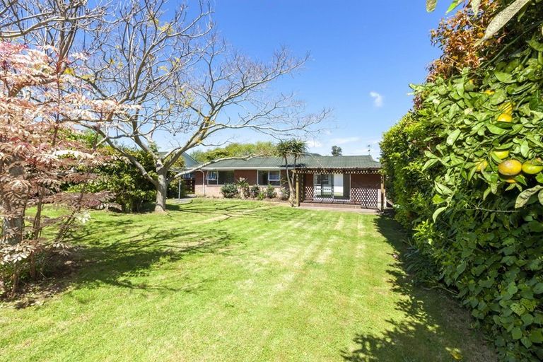 Photo of property in 87 Ngaio Road, Waikanae, 5036
