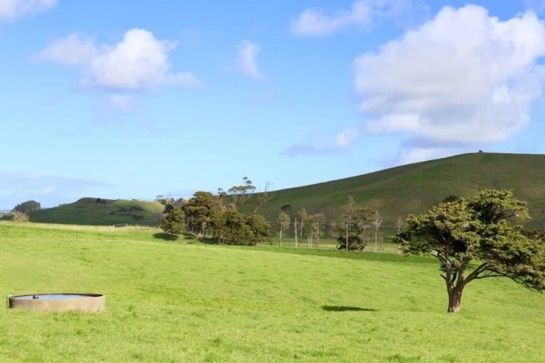 Photo of property in 182 Morrison Road, Arapohue, Dargaville, 0374