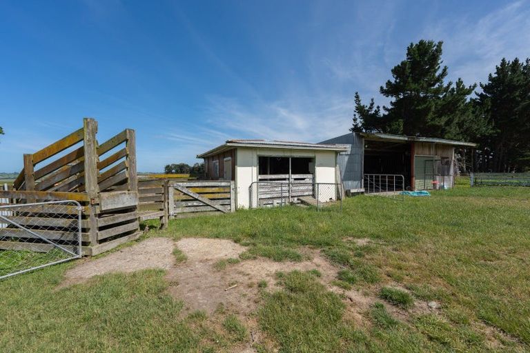 Photo of property in 257 Halcombe Road, Feilding, 4775