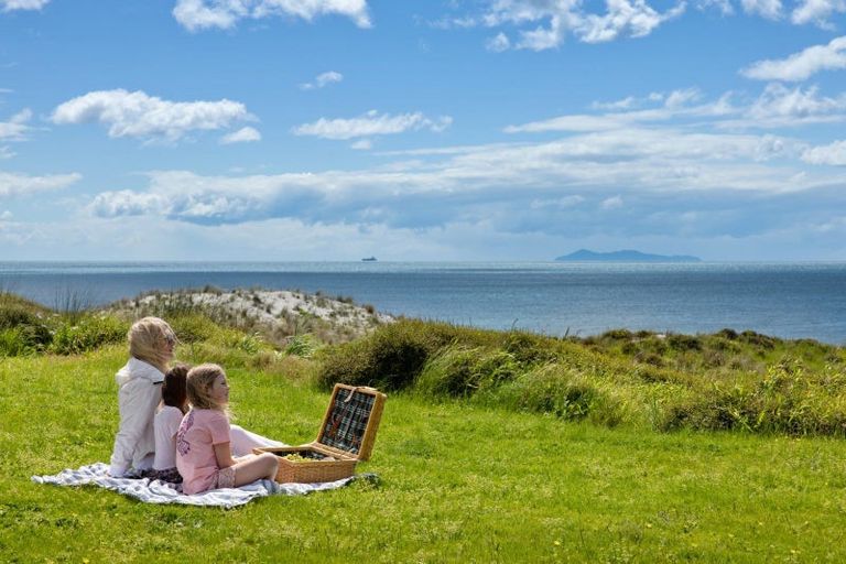 Photo of property in 451 Oceanbeach Road, Mount Maunganui, 3116