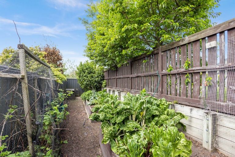 Photo of property in 29 Meissner Road, Havelock North, 4130