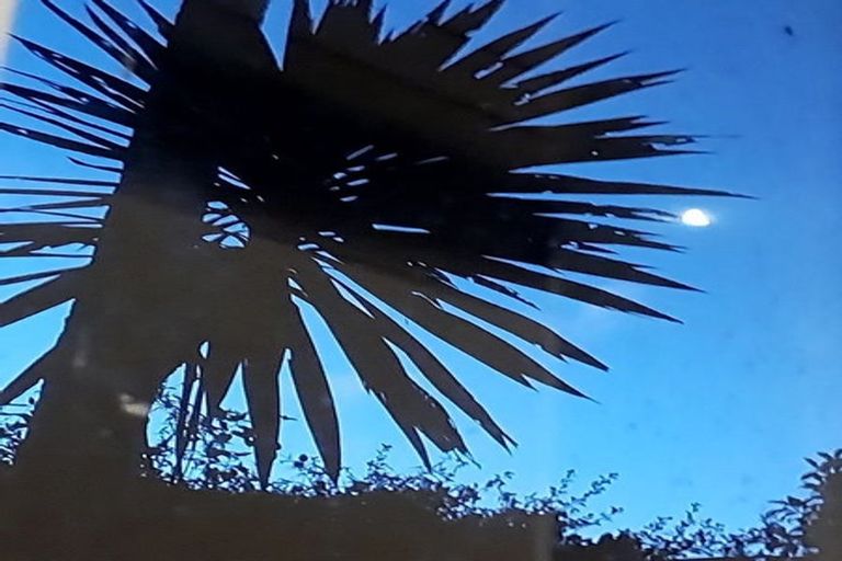 Photo of property in 55 Sylvan Valley Avenue, Titirangi, Auckland, 0604