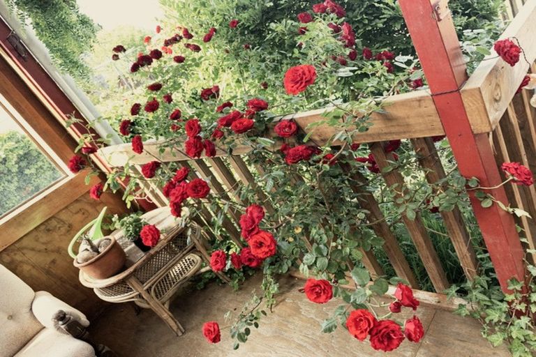 Photo of property in 9 Papanui Street, Tokoroa, 3420