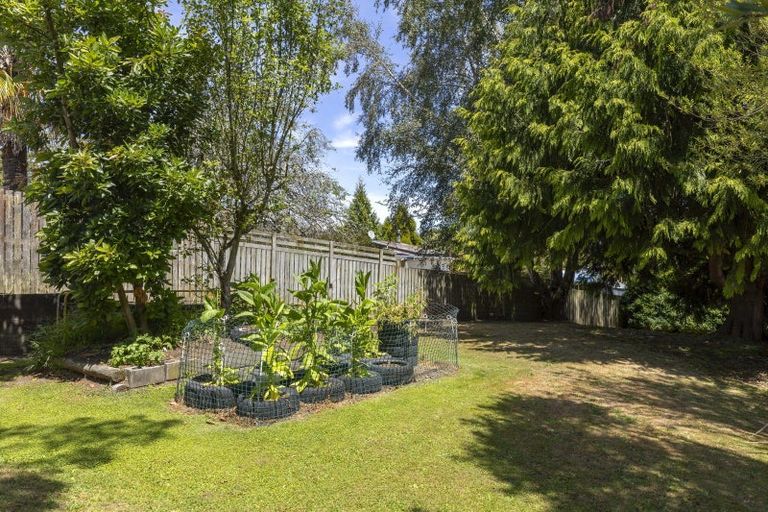 Photo of property in 209 Tauhara Road, Tauhara, Taupo, 3330