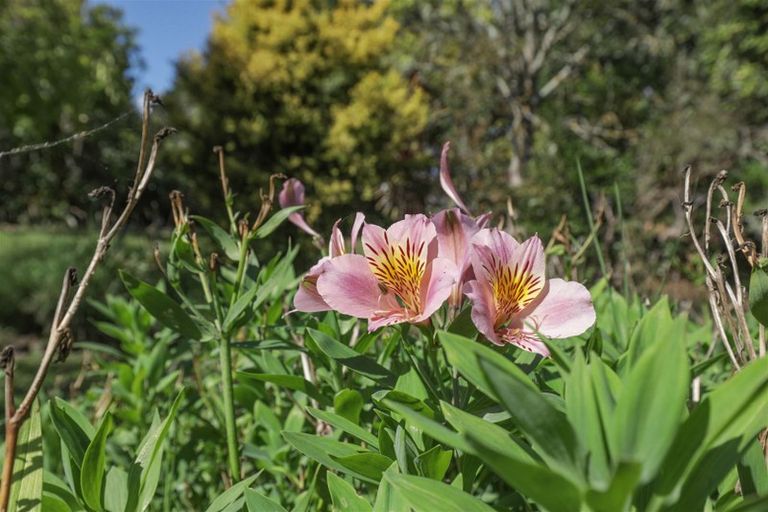 Photo of property in 12 Stewart Road, Rangiriri, Te Kauwhata, 3782