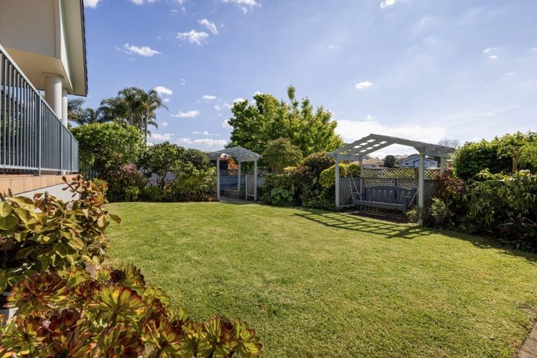 Photo of property in 19 Richmond Heights, Bethlehem, Tauranga, 3110